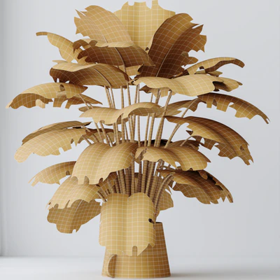 HQ HousePlants Elegant Monstera Deliciosa Large Leaf Form Swiss Cheese Set04 — View 2