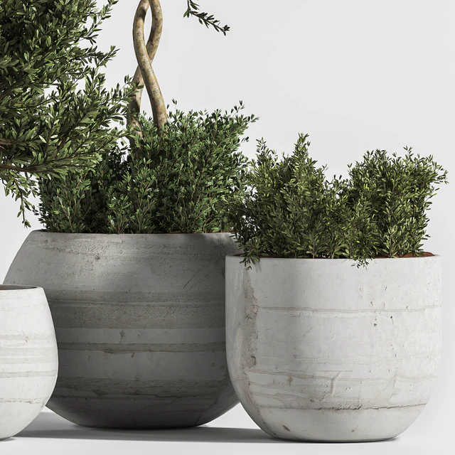 Plant Indoor with Concrete Leaf — Скачать