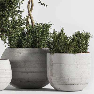 Plant Indoor with Concrete Leaf — Вид 4