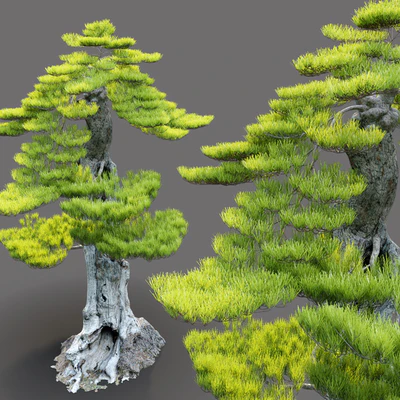Bonsai plant — Ver 4