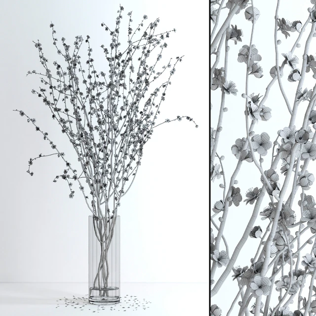 Prunus Red Blossom — Скачать