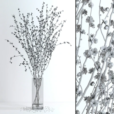 Prunus Red Blossom — Вид 3
