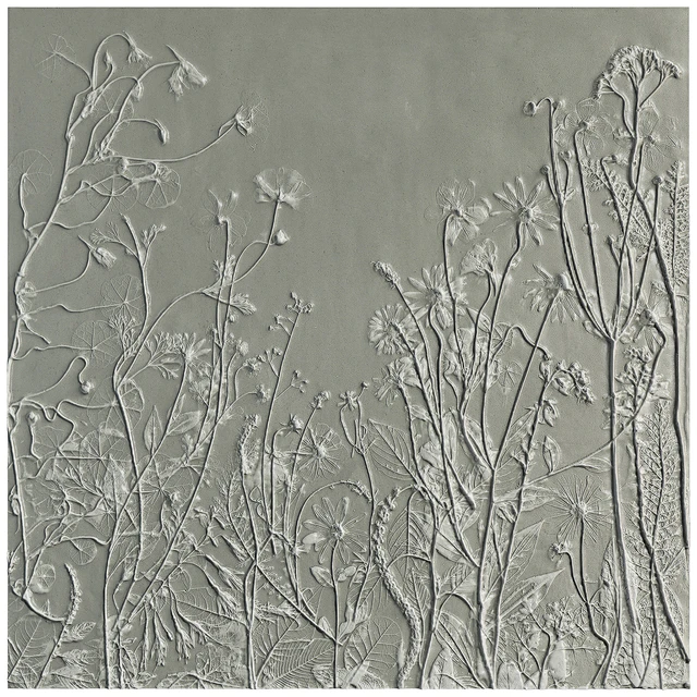 Botanical bas-relief gypsum wall decorative panel juniper dried flowers plants flora chamomile hogweed — Descargar
