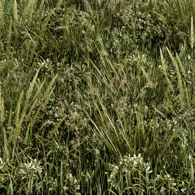 Wild Grass Green - Grass Set 03 — Descargar