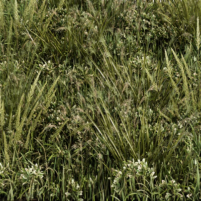 Wild Grass Green - Grass Set 03 — Ver 1