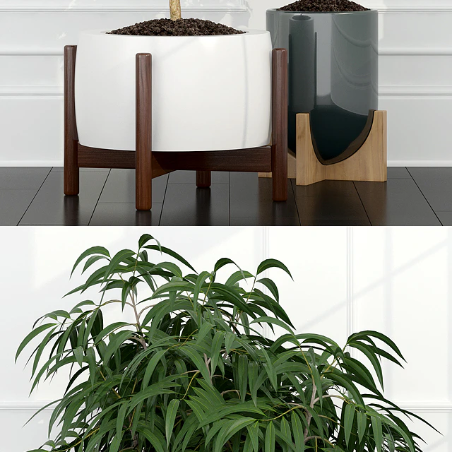 Plants collection 67 — Скачать
