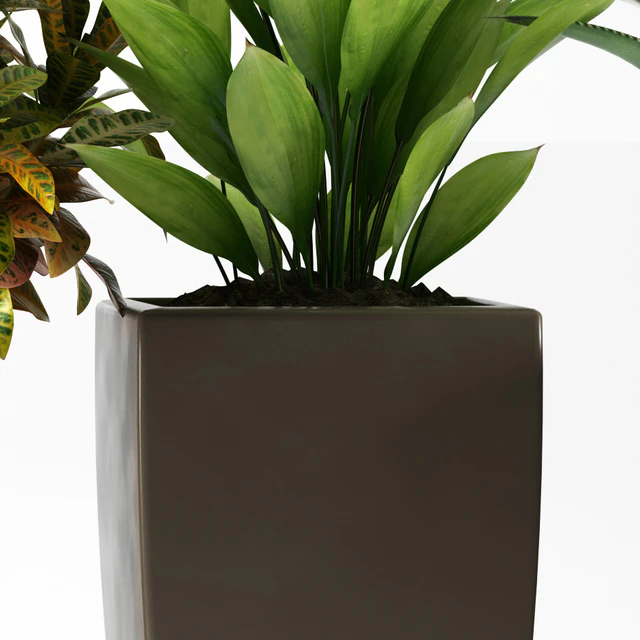 PLANTS 77 — Скачать