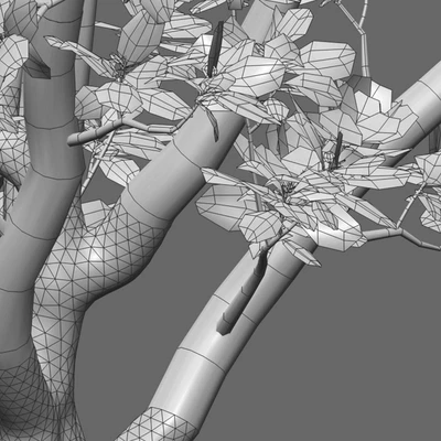 Magnolia grandiflora 02 — Ver 4