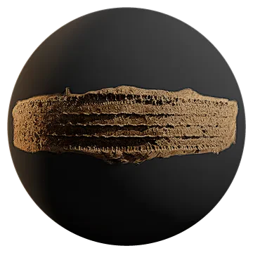 tire tracks on mud 002 — Descargar