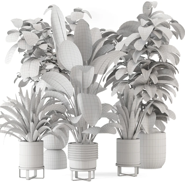 Indoor Plants in Ferm Living Bau Pot Large - Set 983 — Descargar