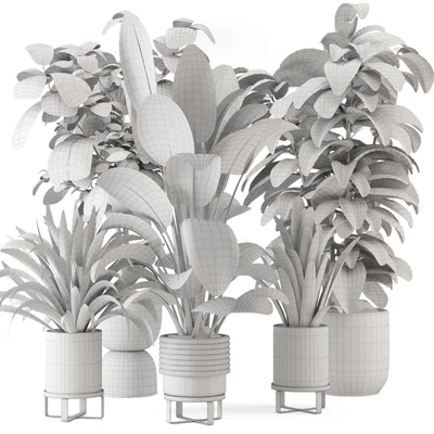 Indoor Plants in Ferm Living Bau Pot Large - Set 983 — Ver 6