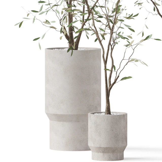 Plants collection 900 — Скачать