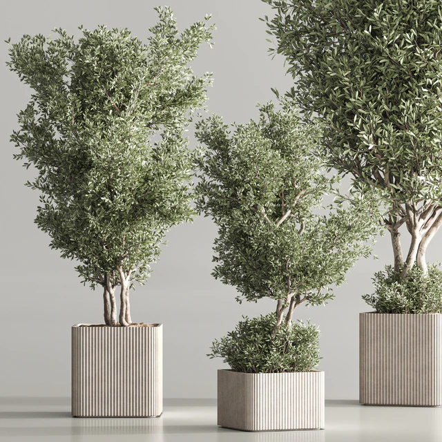 Indoor Plant Set 82 — Descargar