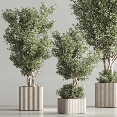 Indoor Plant Set 82 — Ver 3