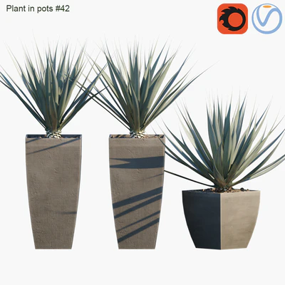 Plant in pots # 42: Agave — Ver 1