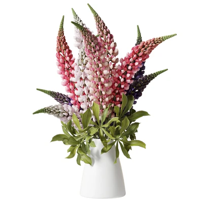Bouquet with lupins — Ver 1
