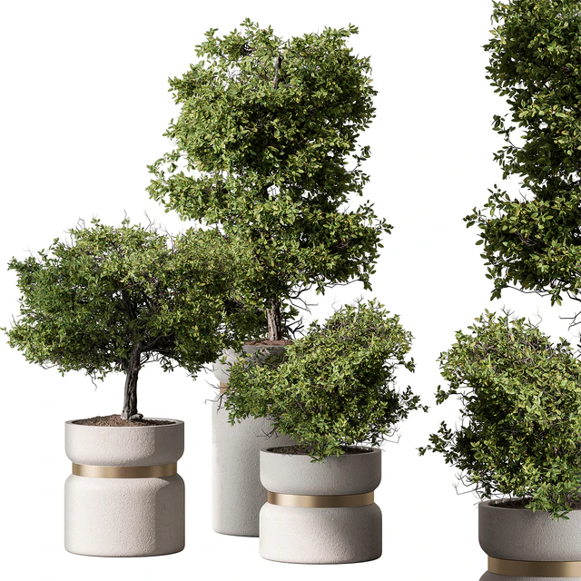 Indoor Plant 566 -Tree in Pot — Descargar