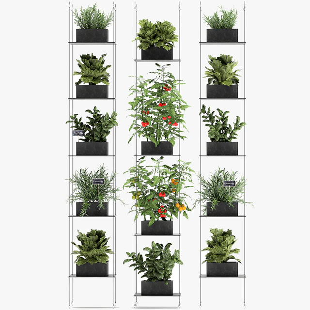Vertical gardening kitchen garden garden with vegetables, tomatoes, peppers, herbs, lettuce, rosemary. Set 69. — Descargar