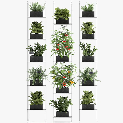 Vertical gardening kitchen garden garden with vegetables, tomatoes, peppers, herbs, lettuce, rosemary. Set 69. — Ver 6