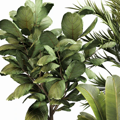 Indoor Plant Set 052 — Ver 4