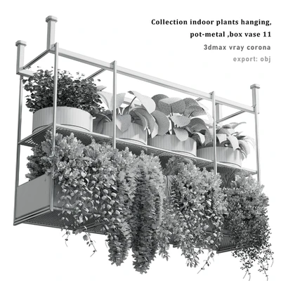 collection Indoor plants hanging pot-metal bax vase 11 — Ver 3