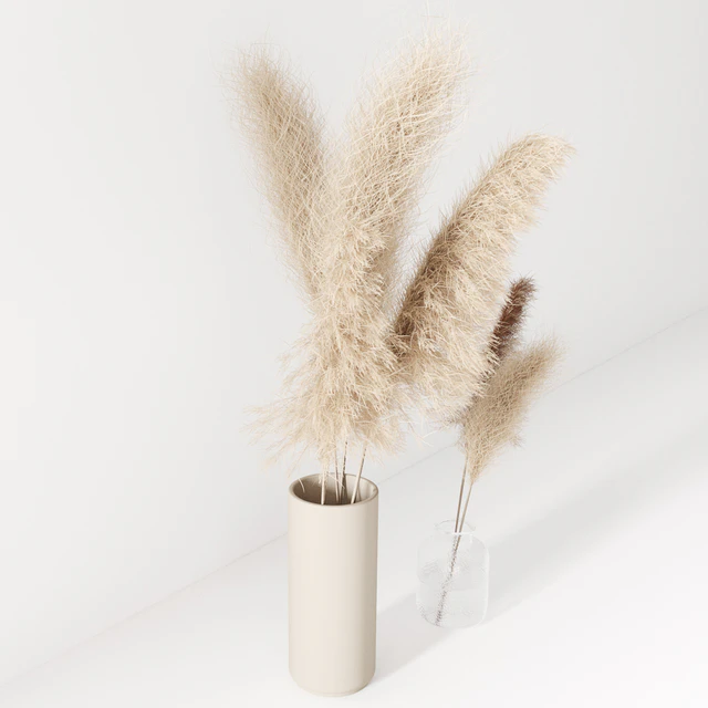 Set of pampas in vase — Descargar