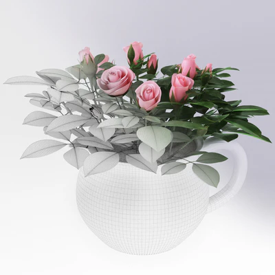 Miniature roses — Вид 2