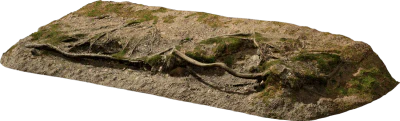 nordic forest legde root medium 001 — Скачать