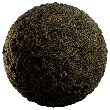 wild grass 025 — Descargar