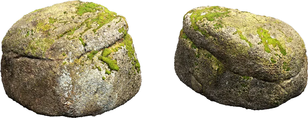 mossy forest boulder 021 — Скачать