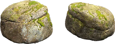 mossy forest boulder 021 — Скачать