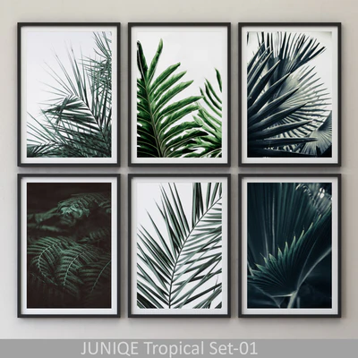 Tropical Set-01 Framed — Вид 1