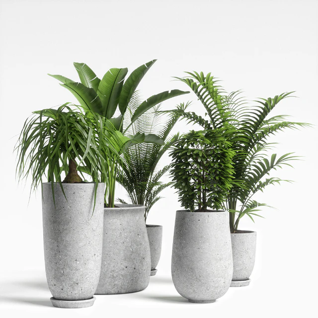 plants set 04 — Descargar