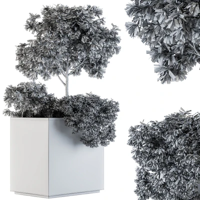 Outdoor Plants in Concrete Plant Box - Set 98 — Ver 2