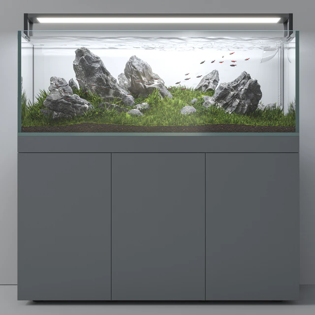 Aquascape aquarium Iwagumi — Скачать
