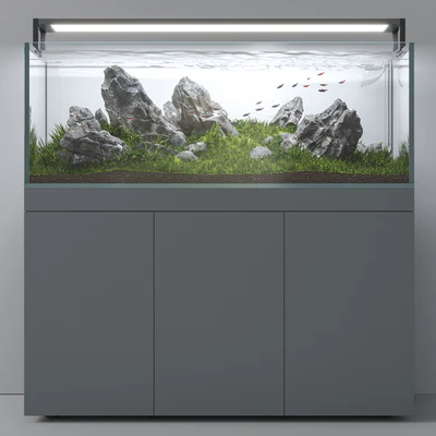 Aquascape aquarium Iwagumi — Вид 3