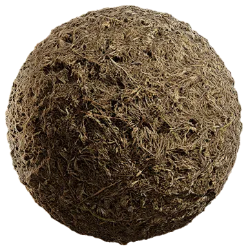 grass dried 028 — Descargar