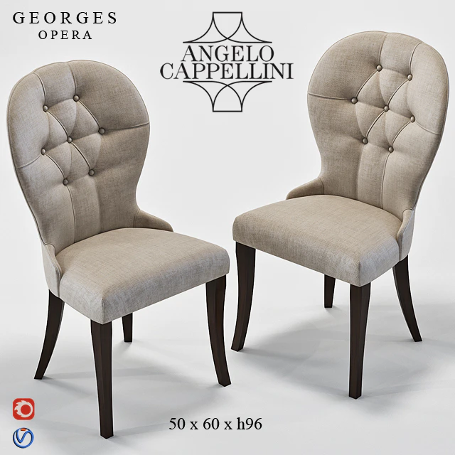 Angelo Cappellini GEORGES — Descargar