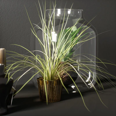 decorative set — Вид 5