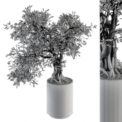 indoor Plant Set 207 - Big Bonsai in pot — View 5