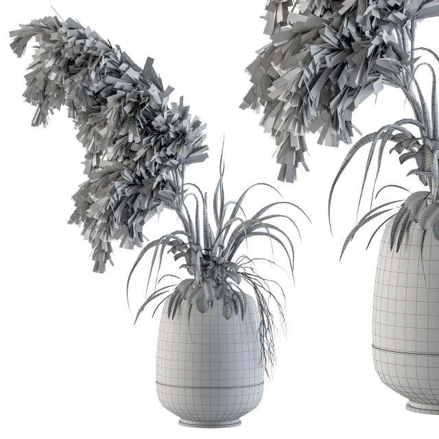 Dry plants 21 — Скачать