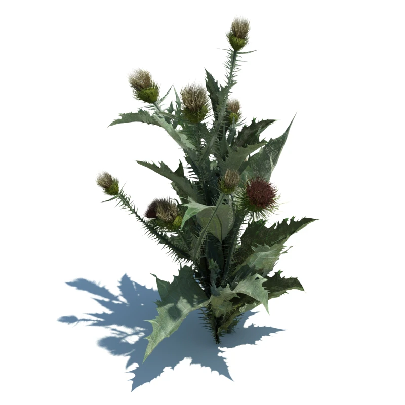 144 — Скачать