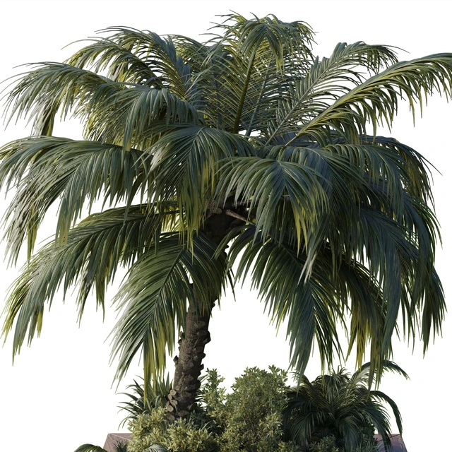 Collection Outdoor plant 102 garden pot tree palm bush fern grass concrete base — Скачать