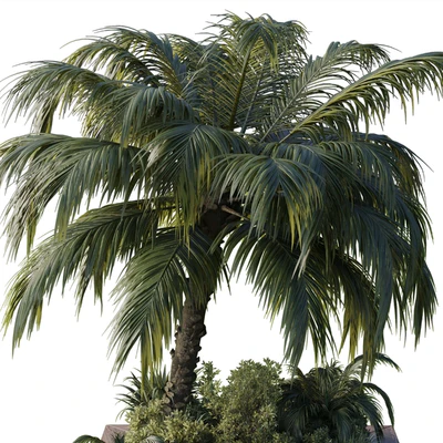 Collection Outdoor plant 102 garden pot tree palm bush fern grass concrete base — Вид 4