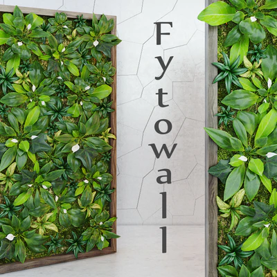 Fytowall Spatifilum — Скачать