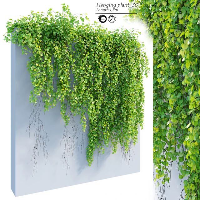 Hanging Plant 30 — Descargar