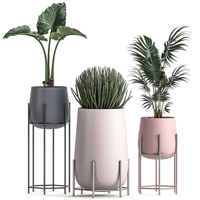 Collection of small indoor plants in modern pots on legs with Monstera, Palm, hovea, alokasia, Sansevieria. Set 547. — Ver 3