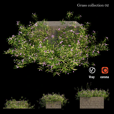 Grass collection 02 — Вид 1