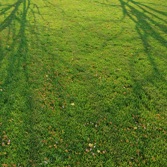 Cut grass — Скачать