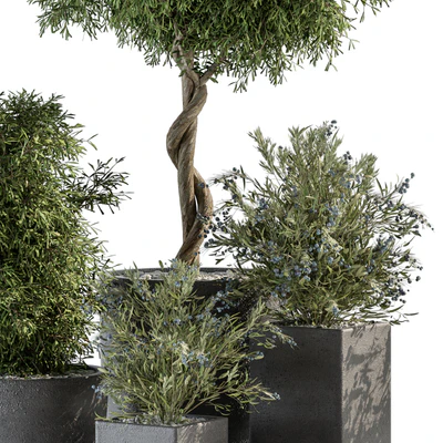 Outdoor Plant Set 273 - Plant Set in Concrete Pot — Ver 3